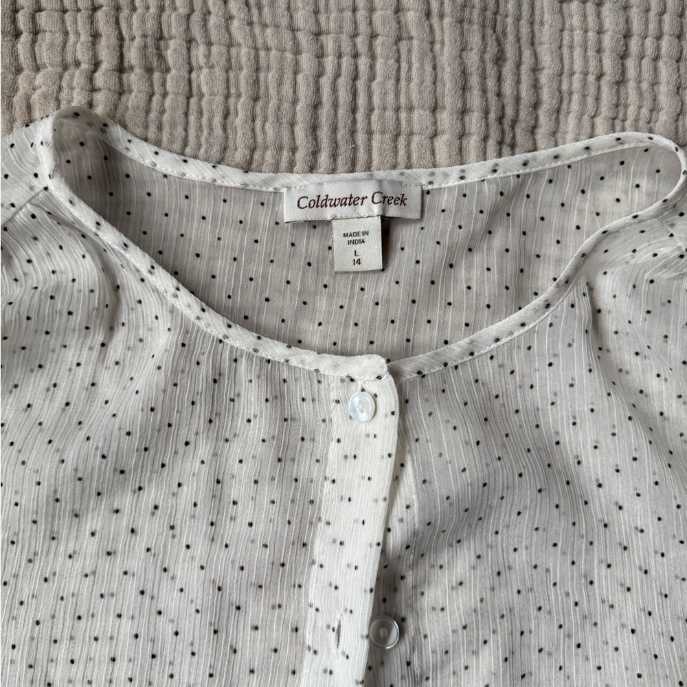Vintage White Sheer Button-Up Blouse - Picture 4 of 4